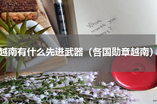 越南有什么先进武器（各国勋章越南）