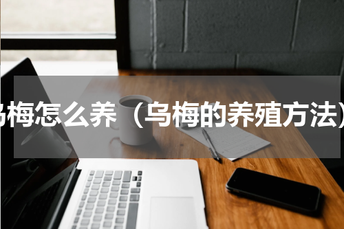 乌梅怎么养（乌梅的养殖方法）