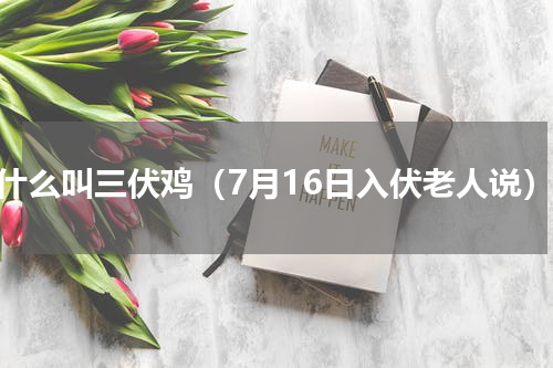 为什么叫三伏鸡（7月16日入伏老人说）