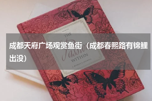 成都天府广场观赏鱼街（成都春熙路有锦鲤出没）