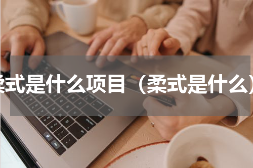 柔式是什么项目（柔式是什么）