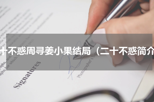 二十不惑周寻姜小果结局（二十不惑简介）