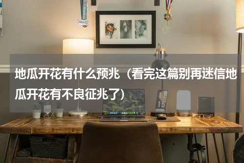 地瓜开花有什么预兆（看完这篇别再迷信地瓜开花有不良征兆了）