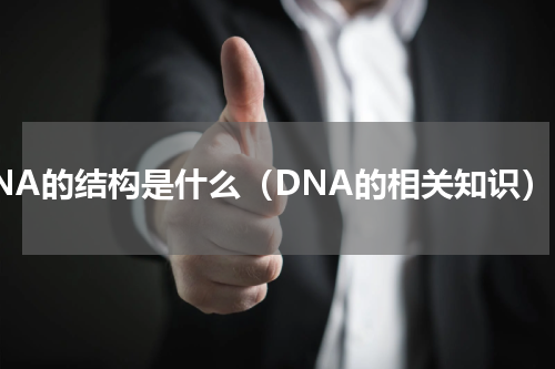 DNA的结构是什么（DNA的相关知识）