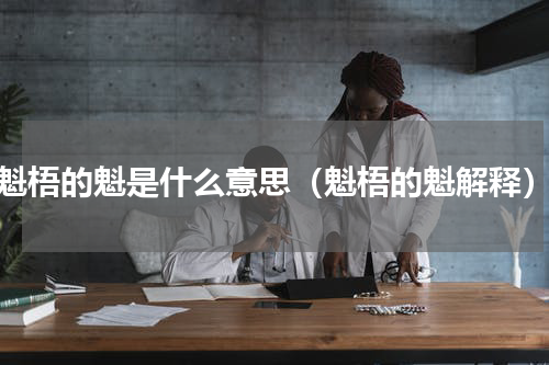 魁梧的魁是什么意思（魁梧的魁解释）