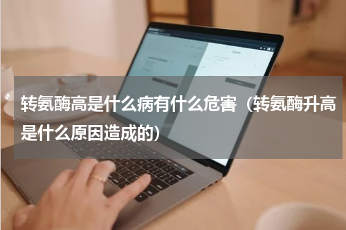 转氨酶高是什么病有什么危害（转氨酶升高是什么原因造成的）