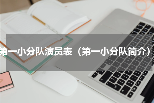 第一小分队演员表（第一小分队简介）