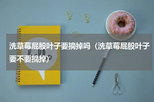 洗草莓屁股叶子要摘掉吗（洗草莓屁股叶子要不要摘掉）