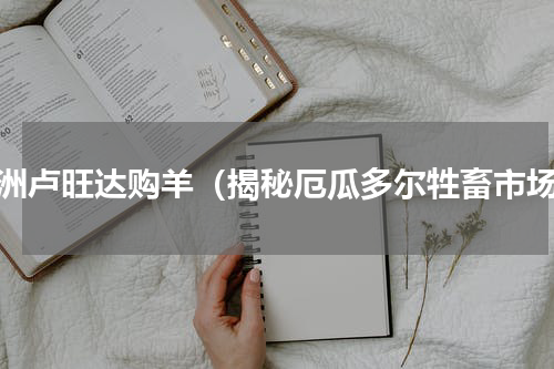 非洲卢旺达购羊（揭秘厄瓜多尔牲畜市场）