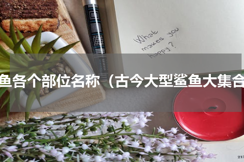 鲨鱼各个部位名称（古今大型鲨鱼大集合）