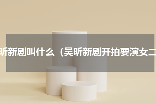 吴昕新剧叫什么（吴昕新剧开拍要演女二）