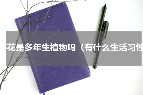 长寿花是多年生植物吗（有什么生活习性）