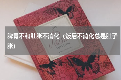 脾胃不和肚胀不消化（饭后不消化总是肚子胀）