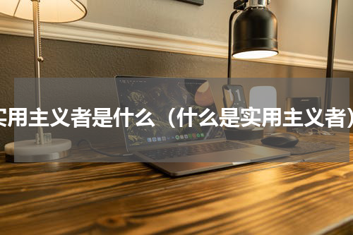 实用主义者是什么（什么是实用主义者）