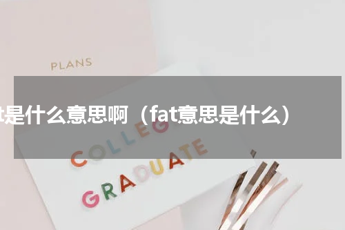fat是什么意思啊（fat意思是什么）