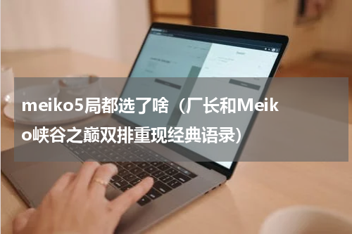 meiko5局都选了啥（厂长和Meiko峡谷之巅双排重现经典语录）