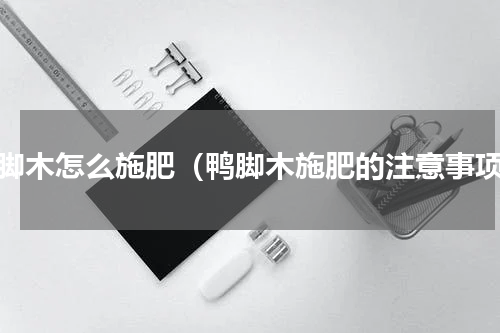 鸭脚木怎么施肥（鸭脚木施肥的注意事项）