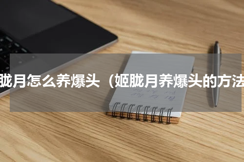 姬胧月怎么养爆头（姬胧月养爆头的方法）