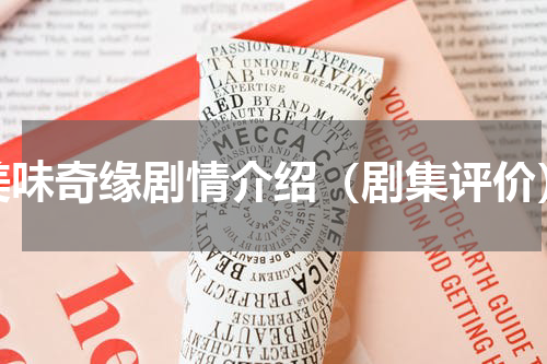 美味奇缘剧情介绍（剧集评价）