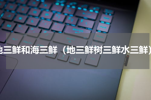 地三鲜和海三鲜（地三鲜树三鲜水三鲜）
