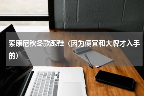 索康尼秋冬款跑鞋（因为便宜和大牌才入手的）