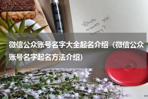 微信公众账号名字大全起名介绍（微信公众账号名字起名方法介绍）