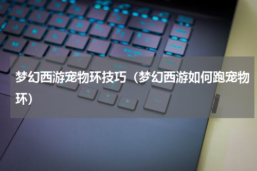 梦幻西游宠物环技巧（梦幻西游如何跑宠物环）