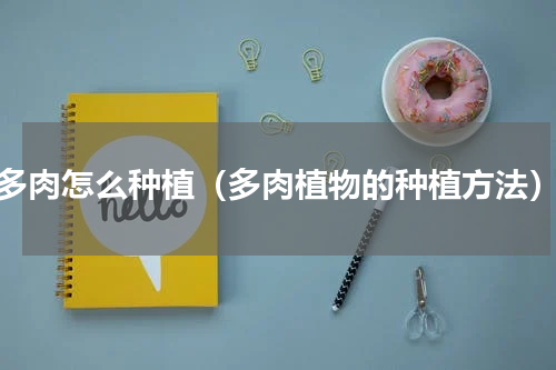多肉怎么种植（多肉植物的种植方法）