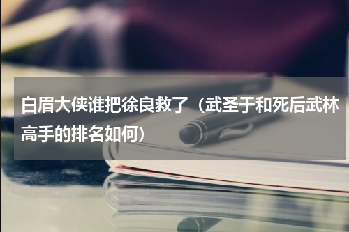 白眉大侠谁把徐良救了（武圣于和死后武林高手的排名如何）