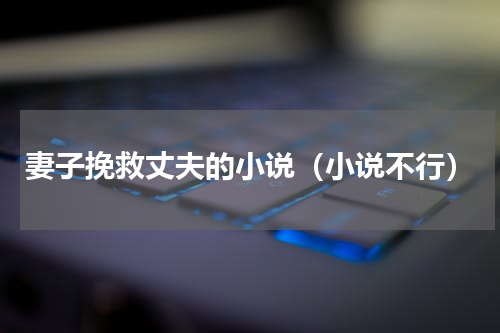 妻子挽救丈夫的小说（小说不行）