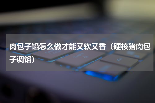 肉包子馅怎么做才能又软又香（硬核猪肉包子调馅）