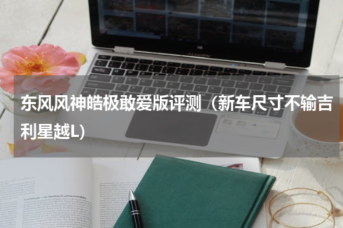 东风风神皓极敢爱版评测（新车尺寸不输吉利星越L）