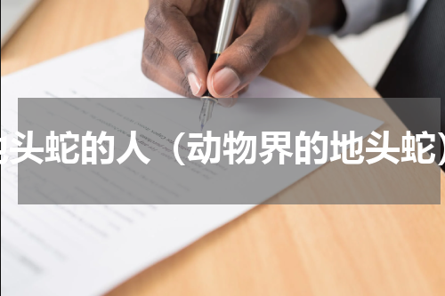 地头蛇的人（动物界的地头蛇）