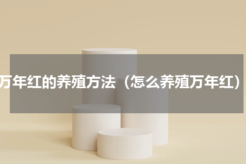 万年红的养殖方法（怎么养殖万年红）