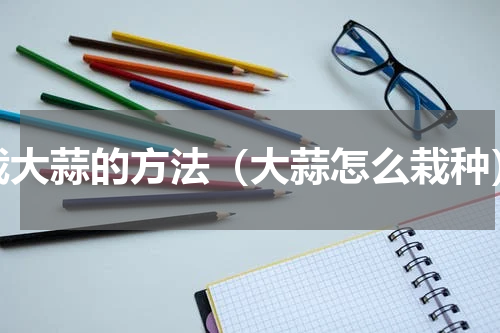 栽大蒜的方法（大蒜怎么栽种）