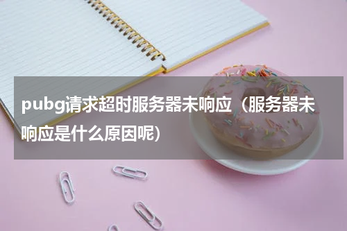 pubg请求超时服务器未响应（服务器未响应是什么原因呢）
