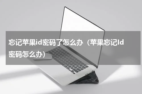 忘记苹果id密码了怎么办（苹果忘记Id密码怎么办）