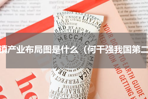 乡镇产业布局图是什么（何干强我国第二）