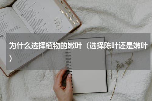 为什么选择植物的嫩叶（选择陈叶还是嫩叶）