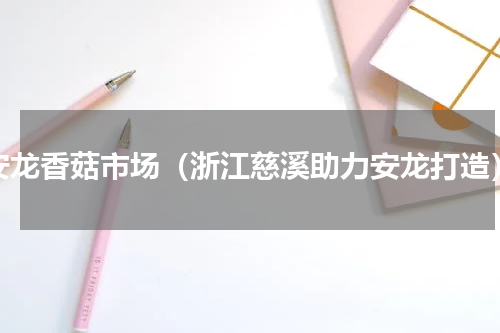 安龙香菇市场（浙江慈溪助力安龙打造）