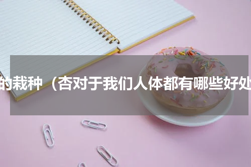 杏的栽种（杏对于我们人体都有哪些好处）
