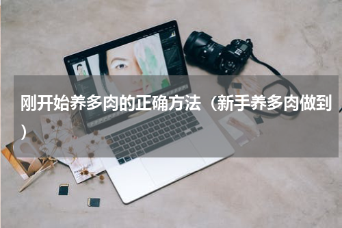 刚开始养多肉的正确方法（新手养多肉做到）