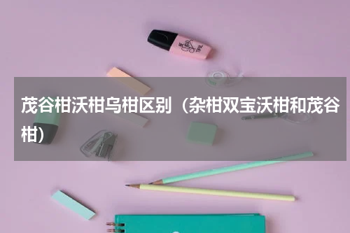 茂谷柑沃柑乌柑区别（杂柑双宝沃柑和茂谷柑）