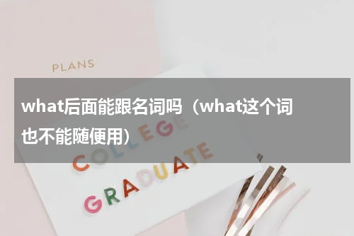 what后面能跟名词吗（what这个词也不能随便用）
