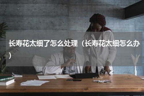 长寿花太细了怎么处理（长寿花太细怎么办）