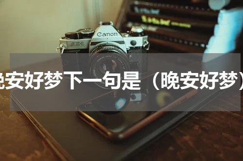 晚安好梦下一句是（晚安好梦）