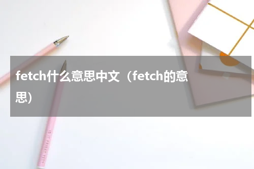 fetch什么意思中文（fetch的意思）