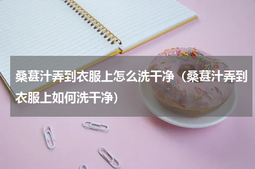 桑葚汁弄到衣服上怎么洗干净（桑葚汁弄到衣服上如何洗干净）