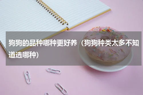 狗狗的品种哪种更好养（狗狗种类太多不知道选哪种）
