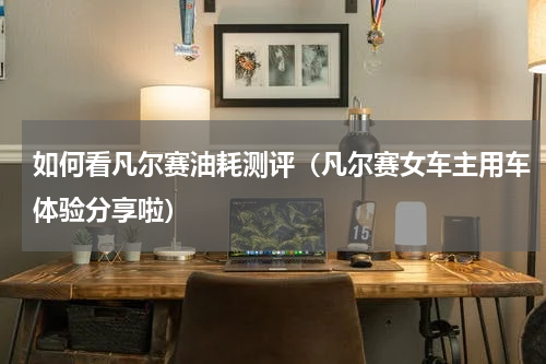 如何看凡尔赛油耗测评（凡尔赛女车主用车体验分享啦）